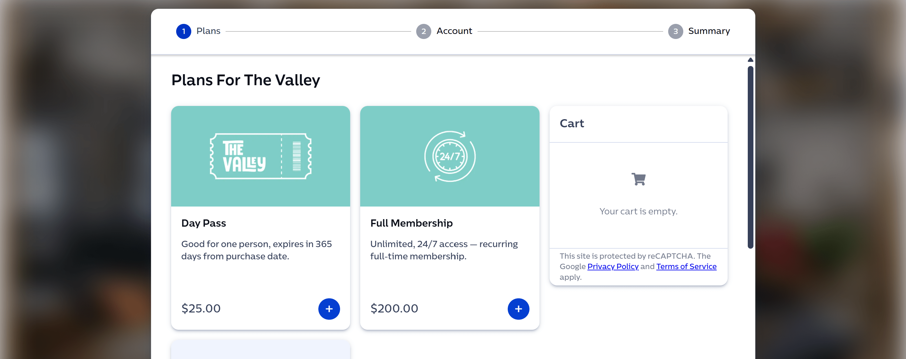The Valley checkout showing the Day Pass option